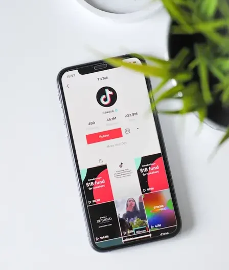 telefon położony obok kwiatka z włączoną aplikacją tiktok